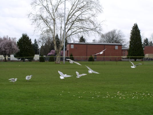 Charles Jordan Community Center by null