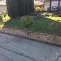 Cutting Edge Yard Care