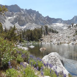 In The Zone - In the Zone Massage Therapy, located in the beautiful Eastern Sierra!