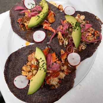 Neptune Oyster - Sunday - Lobster Tacos - Seafood Near Me - Boston, Massachusetts Neptune Oyster - Sunday - Lobster Tacos - Seafood Near Me - Boston, Massachusetts