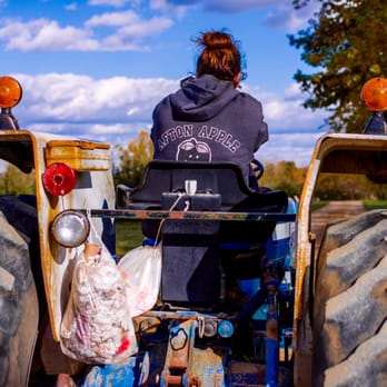 Afton Apple Orchard - Fruits & Veggies Near Me - Hastings, Minnesota Afton Apple Orchard - Fruits & Veggies Near Me - Hastings, Minnesota