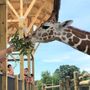 Photo of Lake Tobias Wildlife Park