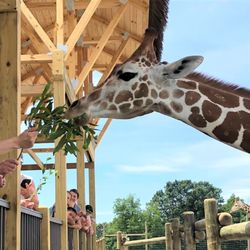 Lake Tobias Wildlife Park