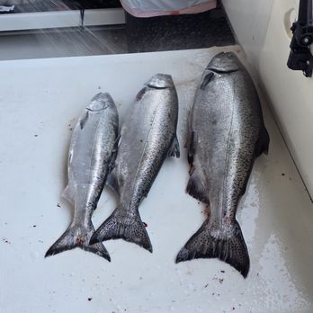 Sasquatch Sport Fishing - All 3 of us living the dream! - Fishing Near Me - Edmonds, Washington