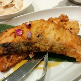Salmon
