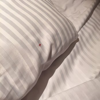 Secrets The Vine Cancun - Blood in our bed - Hotels Near Me - Cancún, ROO Secrets The Vine Cancun - Blood in our bed - Hotels Near Me - Cancún, ROO