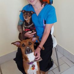 Etobicoke Veterinary Hospital - Meet Jessica Oszvald, RVT. Jess is one of our many staff members that makes sure things go as planned.
