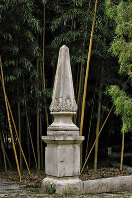 Orto Botanico di Palermo by null