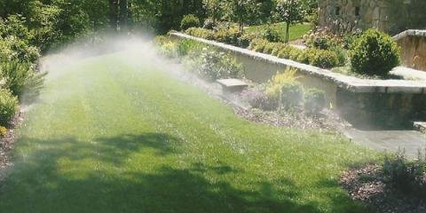 Slide of Nature Plus Lawn & Irragation