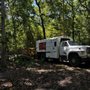 Photo of Grizzly Tree Service