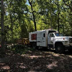 Grizzly Tree Service - Lots of trees in Southwoods! Removed 3 big oak trees and lots of dead limbs. Stump grinding too.