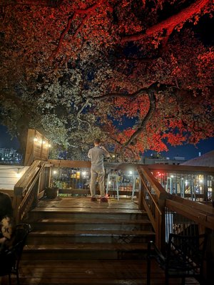 Pelons Tex Mex by null Pelons Tex Mex by null