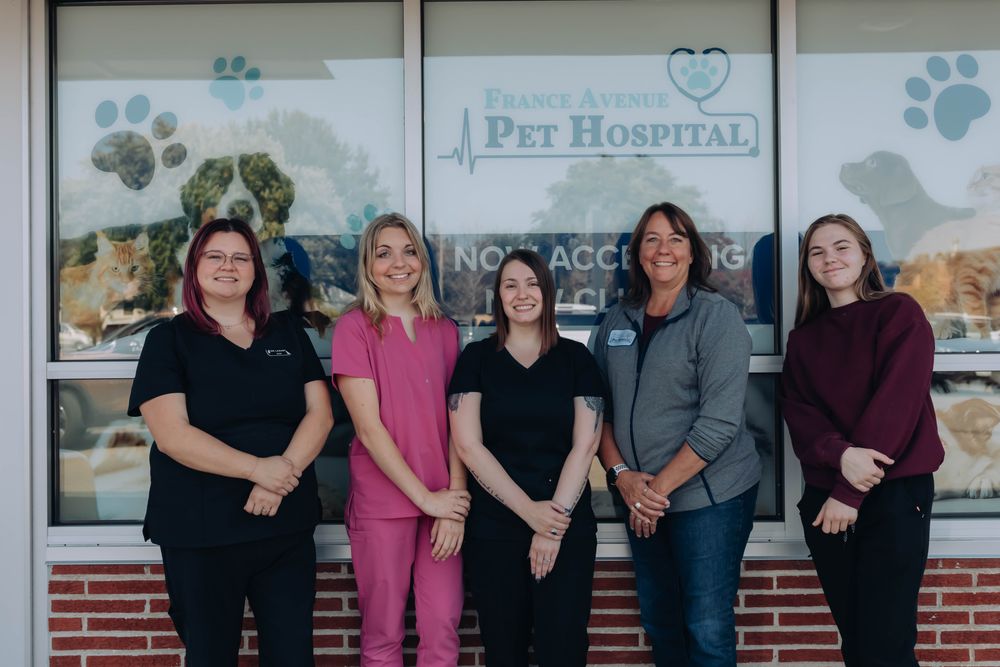 France Avenue Pet Hospital - pet boarding facility in Bloomington, MN