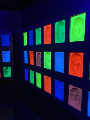 Ripley’s Illusion Lab by null