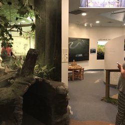 South Shore Natural Science Center - Great space!