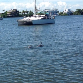 Dolfun Tours - Baby and momma - Boating Near Me Dolfun Tours - Baby and momma - Boating Near Me