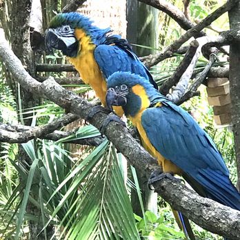 Brevard Zoo - Zoos Near Me - Melbourne, Florida Brevard Zoo - Zoos Near Me - Melbourne, Florida