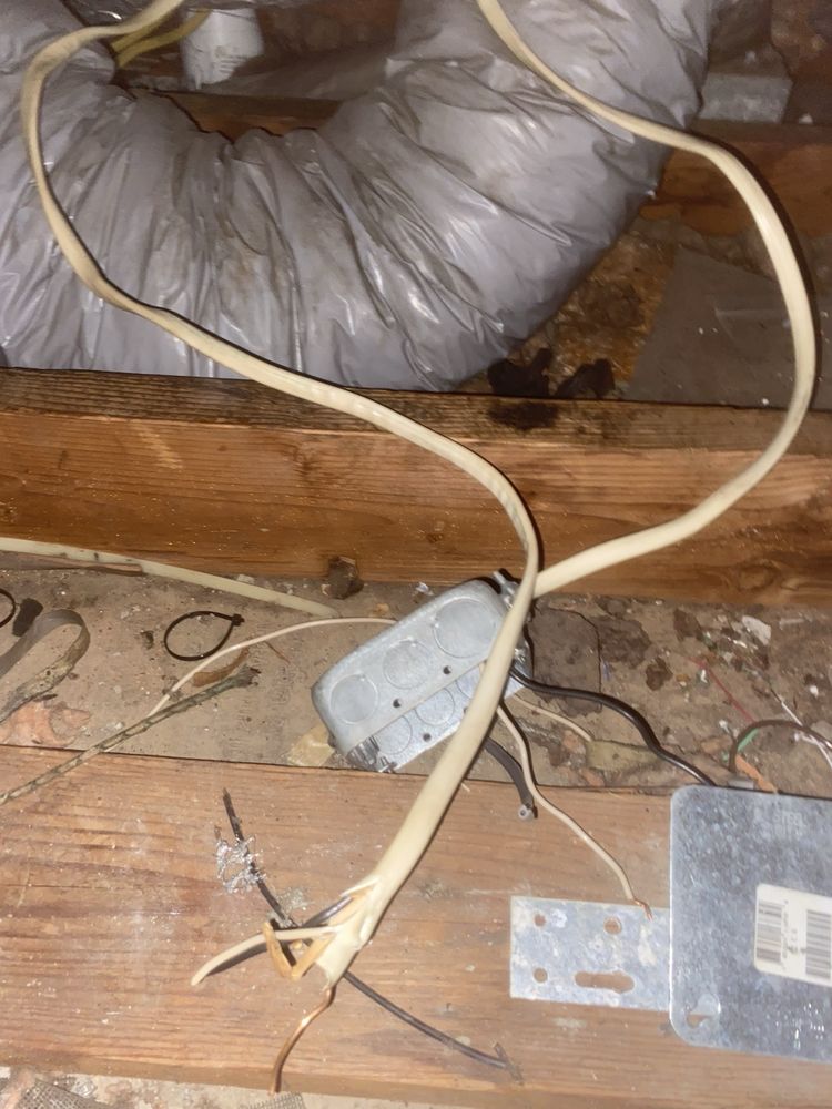 Slide of Gold Medal Service