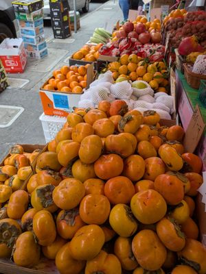 Fruitful Dreams by null