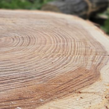 Henry’s Tree Experience - Landscape Architects or Designers Near Me
