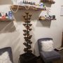 Salt Earth Colon Therapy
