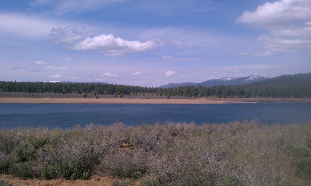 Slide of Prosser Services