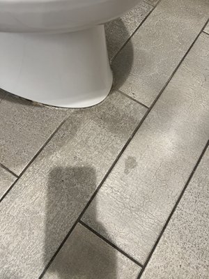 Hotel Napoleon Downtown Memphis, Memphis, TN by null