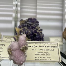 Mineralogical Museum