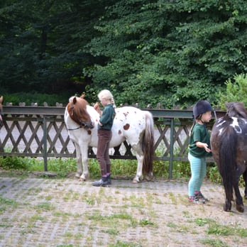 Forsthaus Tiergarten - Pferdepflege und Ponykuscheln kann allen so viel Spaß machen!! - Horseback Riding Near Me - Lüneburg, NI Forsthaus Tiergarten - Pferdepflege und Ponykuscheln kann allen so viel Spaß machen!! - Horseback Riding Near Me - Lüneburg, NI