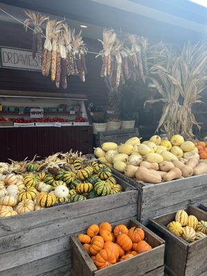 Dr Davies Farm by null