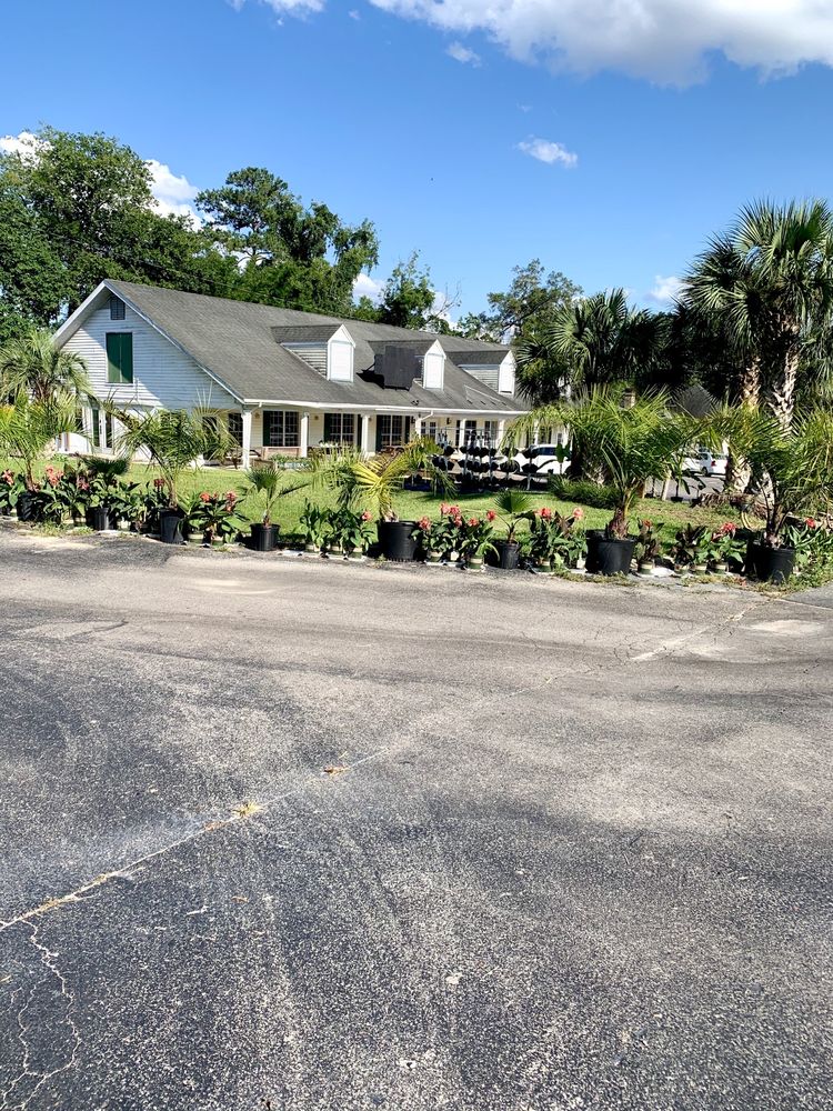 GREEN MARKET NURSERY Updated August 2024 5402 NW 8th Ave