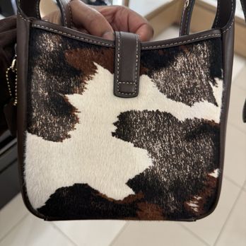 Coach - Leather Goods Near Me - Cypress, Texas