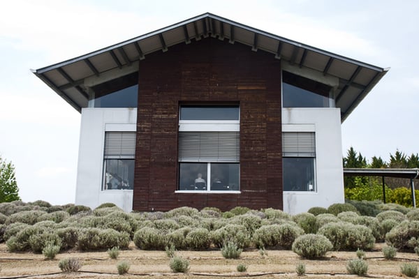 Kooroomba Vineyards and Lavender Farm. by null