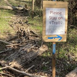 American Chestnut Land Trust-ACLT