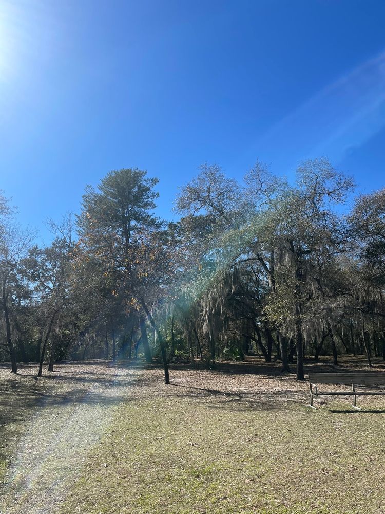 Hernando County's Dog Park Image