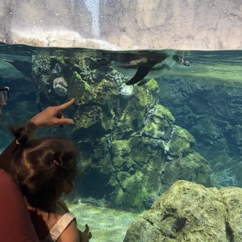 Houston Zoo - Zoos Near Me - Houston, Texas Houston Zoo - Zoos Near Me - Houston, Texas