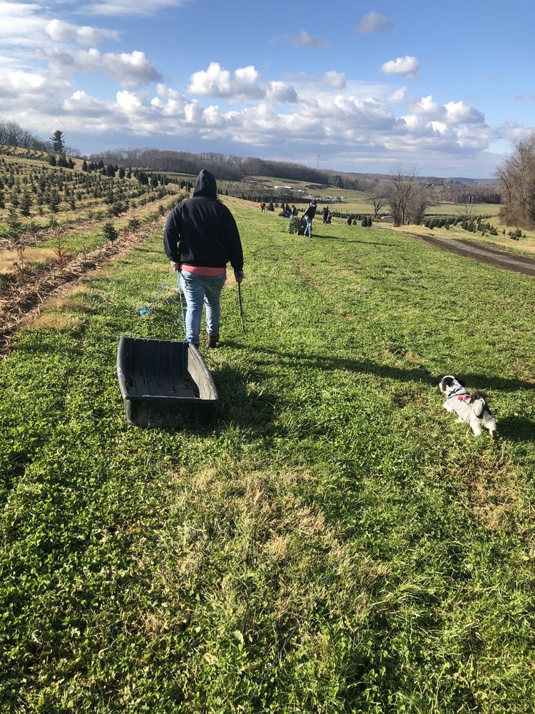 JARRETTSVILLE NURSERY Updated May 2024 1000 Holy Cross Rd, Street