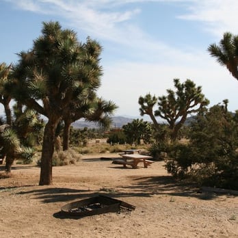 Black Rock Canyon - Hiking Near Me - Yucca Valley, California