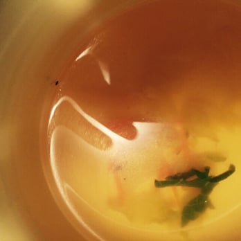 Obba Sushi - Multiple flys in soup. Two floaters and several in bottom - Sushi Bars Near Me - Miami, Florida