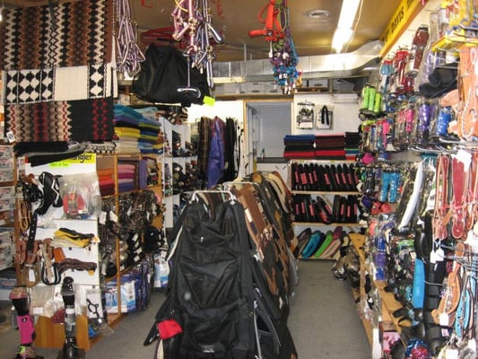 Boutique equestre st cecile de milton Clearance