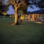 Photo of Backyard Creations
