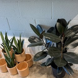 Flourish Plant Shop & Wine Bar