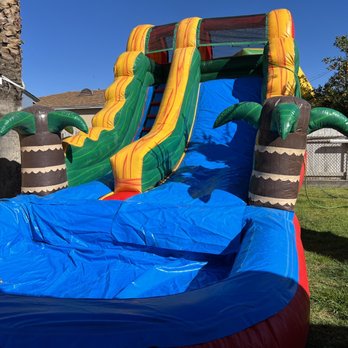 Party 360 - Palm water slide - Party Supplies Near Me