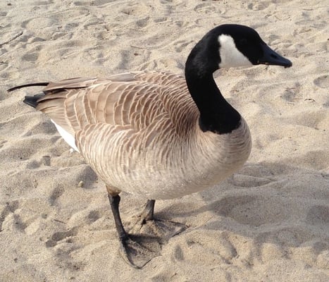 Tiscornia Park by null