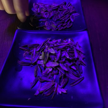 ON/OFF - Asian Fusion Near Me - Toronto, Ontario