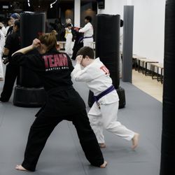 Team Martial Arts