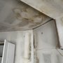 Photo of LimeGreen Water Damage & Restoration of North Carolina
