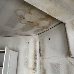LimeGreen Water Damage & Restoration of North Carolina