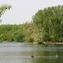 Photo of Sieglarer See