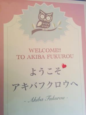 Owl Cafe Tokyo by null